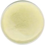 Clozapine Suppliers