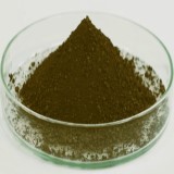 Iron Polymaltose or Ferric Carboxymaltose Suppliers