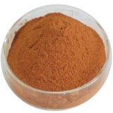 Iron Sucrose and Ferric Saccharate Suppliers