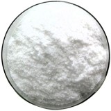 L-Carnitine Suppliers