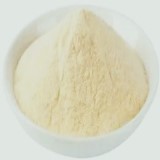 Vitamin A or Retinol Suppliers