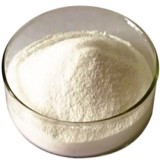 Tragacanth or Gum Tragacanth Powder Suppliers